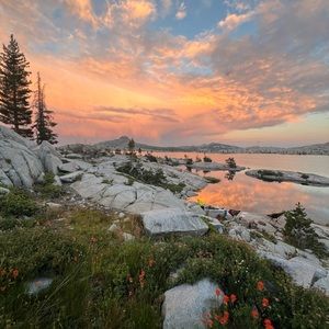 Meet your Posher, Emily